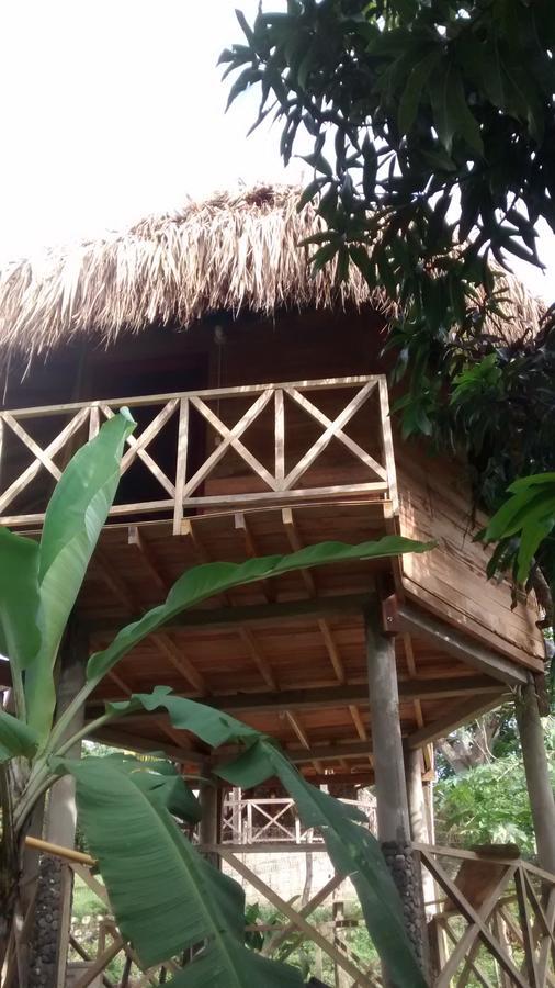 Posadas Ecoturisticas Seineken Zaino Kültér fotó